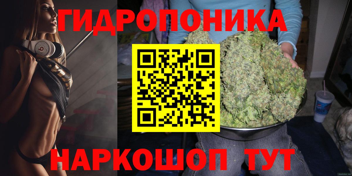 Кудрово  Шишки марихуана ГИДРОПОН  Бошки Шишки гибрид  Вход с VPN  Бошки Шишки тримм 