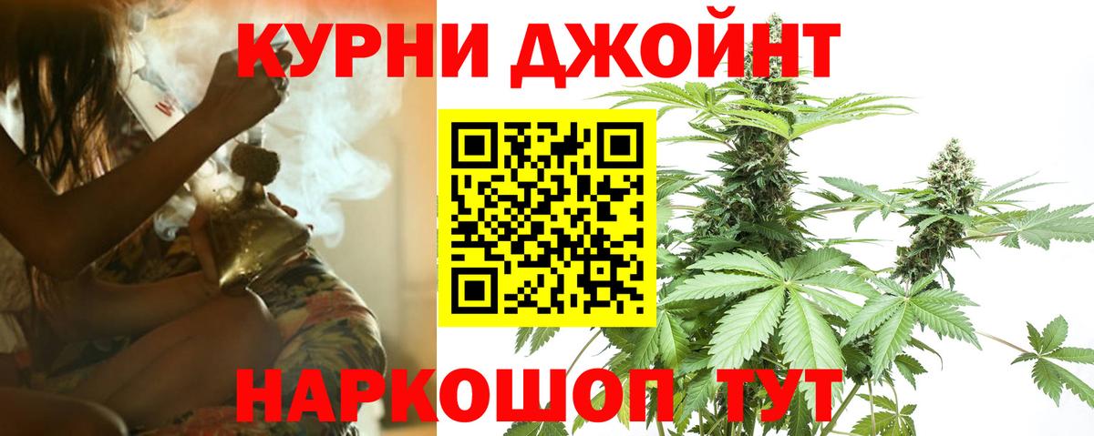 Конопля SATIVA & INDICA Кудрово